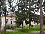 Közeli