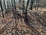 301. Kis-Pápavár