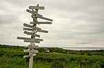 olaszrizling-tanosveny-8.