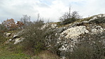 DSC00270