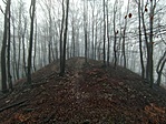 302. állomás: Bakonyújvár