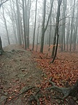 300. Pogányvár a Börzsönyben