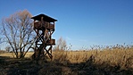 Kilátó - 2020 tavasz