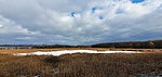 Kilátás a befagyott mocsárra