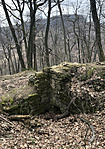 307. Kantavár (Mecsek)