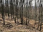 311. Réka-vár, Mecseknádasd