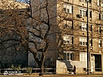 379. Vörösmarty Mihály, Debrecen, Erzsébet u. 5.