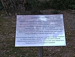 Amit a magnólia fákról érdemes tudni