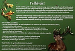 Felhívás