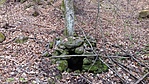 287. Nagykirályosi-forrás