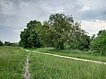 Pilis, Gerje-tó
