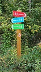 A piros elkülönül