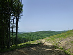 Már zöldebben