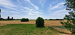 Panoráma