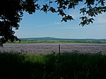 facéliás Kab-hegy