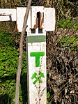 Az első pont felé