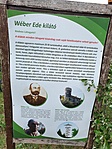 Információk