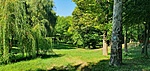 Arborétum 1