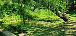Arborétum 2