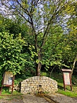 A forrás