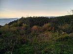 Távolról