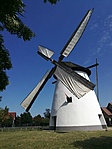 felvitorlázva