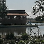 680. állomás Békés megye Kastélyszőlői Alvégi tavak