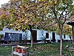 409. dr. Csányi László, Csákvár, Szabadság tér 1.