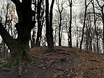 337.  Kámor