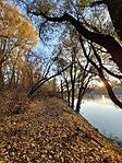 Gyönyörű Tisza