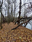 Hosszabb útvonalon haladva