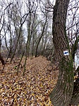 Hosszabb útvonalon haladva