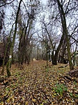 Hosszabb útvonalon haladva
