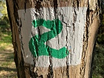 Z egyedi jelzés