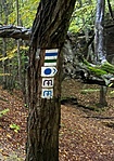 5-féle