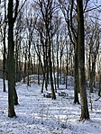 341. Csikling-vár