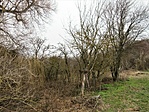 358. Dombóvár, Kétágú-forrás