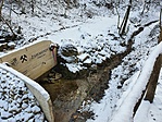 Forrás télen
