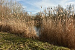 Vilmospark tanösvény 1