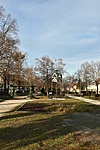 Park
