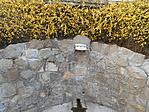 Aranyeső-forrás, Balokányliget