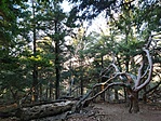 Fa-kín