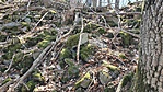 Ott a doboz!