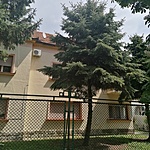 436. Borbola József, Békéscsaba Árpád sor 16.