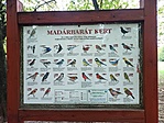Madárbarát kert