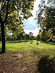 Parkos-bokros