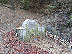 A forrás