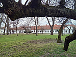 406. Körösladány, volt Wenckheim-kastély