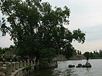2011 nyarán (Discover felvétele)