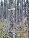 Jó helyen jársz, ha a Szemvíz-kutat keresed 